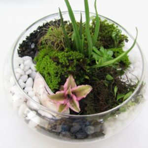 ガーデニング入門