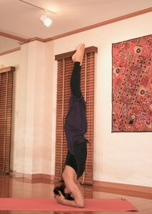 SLOW-FLOW YOGA［前期］講座画像