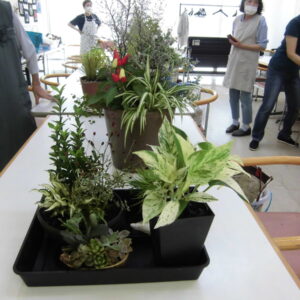 ガーデニング入門