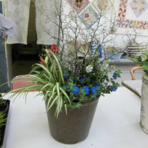 ガーデニング入門