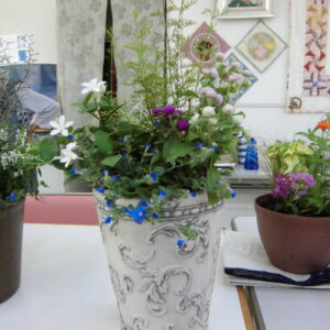 楽しいガーデニング入門［前期］講座画像