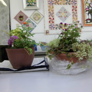 楽しいガーデニング入門［前期］講座画像