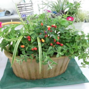 ガーデニング入門