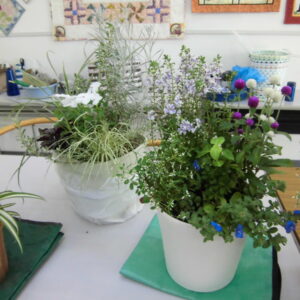 楽しいガーデニング入門［前期］講座画像