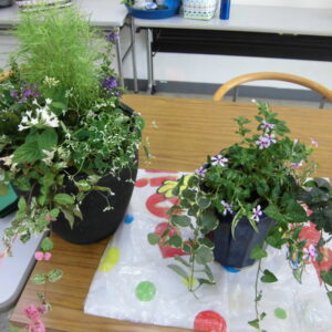 楽しいガーデニング入門［前期］講座画像