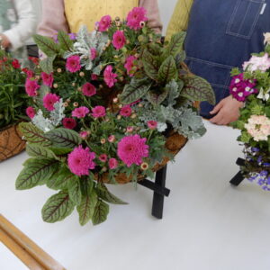 楽しいガーデニング入門［前期］講座画像