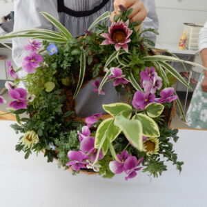 楽しいガーデニング入門［前期］講座画像