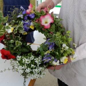 楽しいガーデニング入門［前期］講座画像